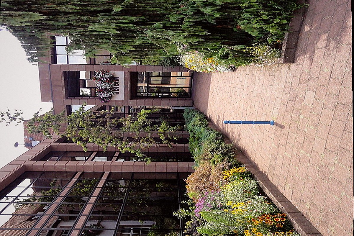 Lingolsheim — vue de la ville