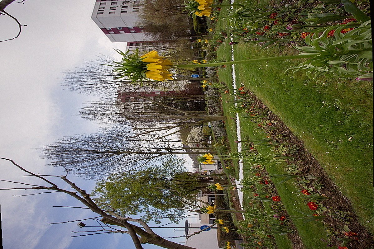 Montigny-lès-Cormeilles — vue de la ville